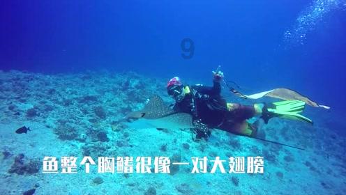 黄梅农商行1820万元授信赋能企业发展